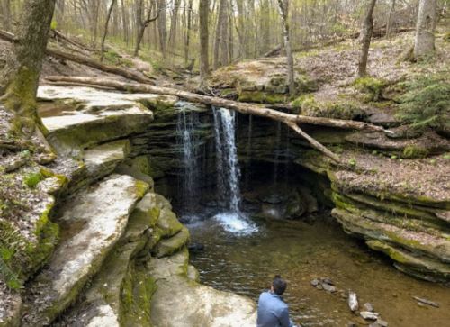 A serene forest scene featuring a small waterfall cascading into a rocky pool, surrounded by trees and mossy stones.