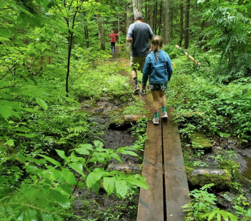 A child and an adult walk along a wooden path through a lush green forest, surrounded by trees and foliage.