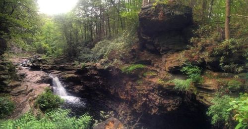 A serene forest scene featuring a waterfall cascading into a rocky pool, surrounded by lush greenery and towering cliffs.