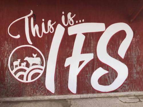 A mural on a red wall featuring the text "This is... IFS" with a graphic of cows and rolling hills.