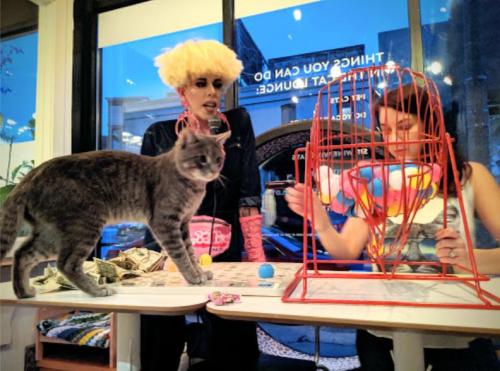 A gray cat walks on a table while two people play bingo in a colorful cafe setting.