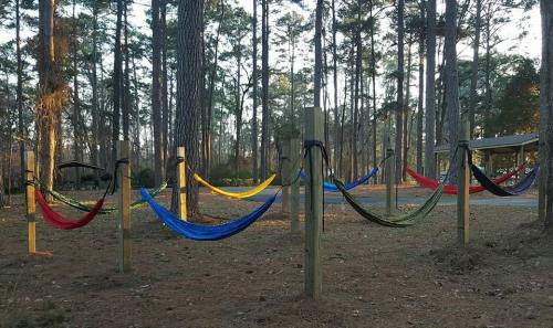 Colorful hammocks are strung between trees in a wooded area, with a picnic shelter visible in the background.