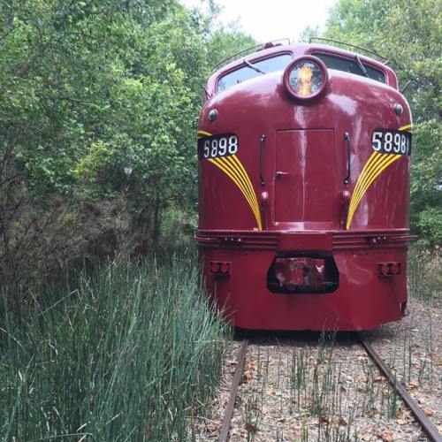 A vintage red train engine numbered 5898 on overgrown tracks surrounded by greenery.