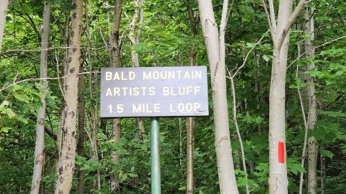 Sign for Bald Mountain Artists Bluff 1.5 Mile Loop surrounded by trees.