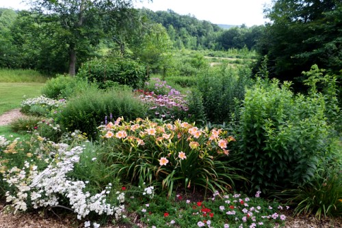 A vibrant garden filled with colorful flowers and lush greenery, set against a backdrop of trees and hills.
