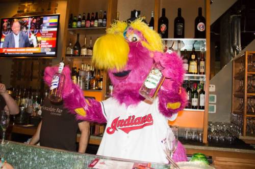 A colorful mascot in a baseball jersey holds bottles at a bar, surrounded by drinks and a TV in the background.