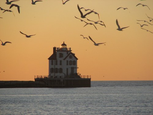A lighthouse stands on a pier at sunset, surrounded by flying seagulls against a warm orange sky.