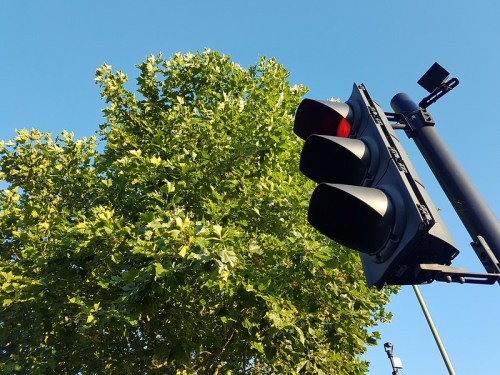 Traffic light showing red against a clear blue sky, with a leafy green tree in the background.