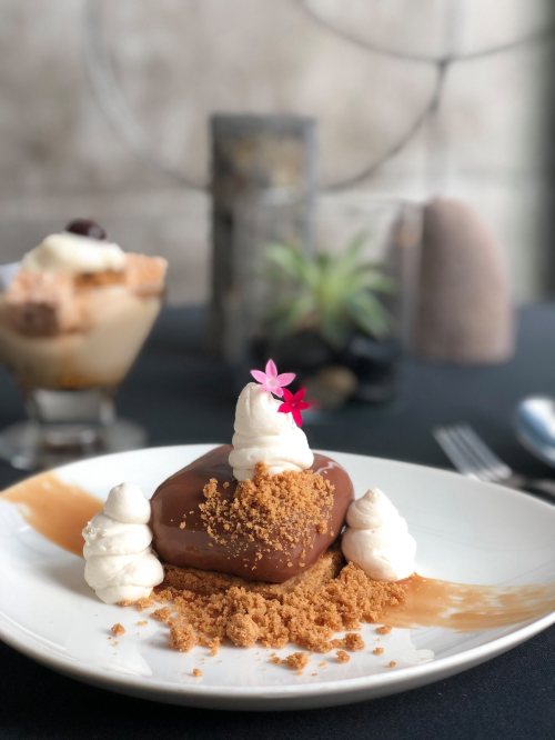 A dessert plate featuring a chocolate mousse topped with whipped cream, crushed cookies, and a small flower garnish.