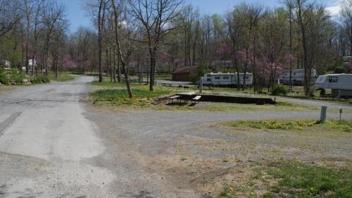 A gravel road leads into a wooded area with RVs and picnic tables, surrounded by trees and blooming flowers.