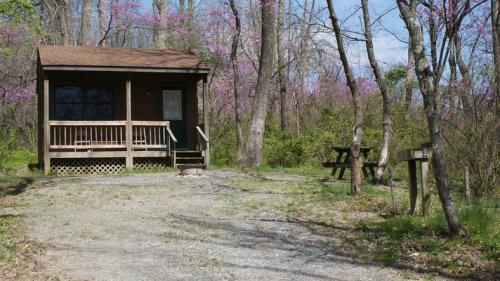 A small cabin with a porch surrounded by trees and blooming flowers, with a picnic table nearby on a gravel path.