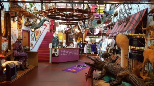 A vibrant, eclectic museum interior filled with taxidermy, quirky decor, and colorful displays.