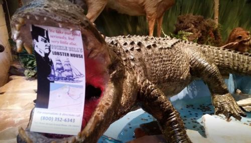 A crocodile statue holds a Lobster House menu in its open mouth, surrounded by a naturalistic setting.