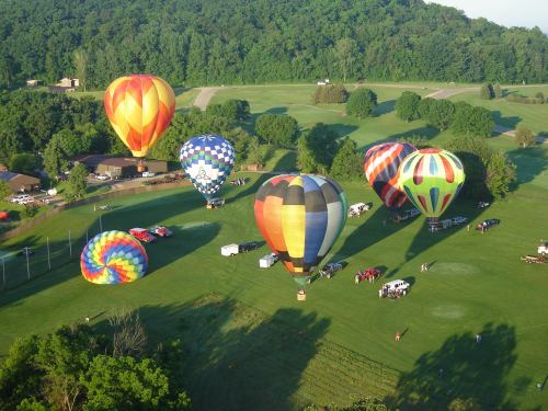 Aerial view of colorful hot air balloons on a green field, with trees and vehicles in the background.