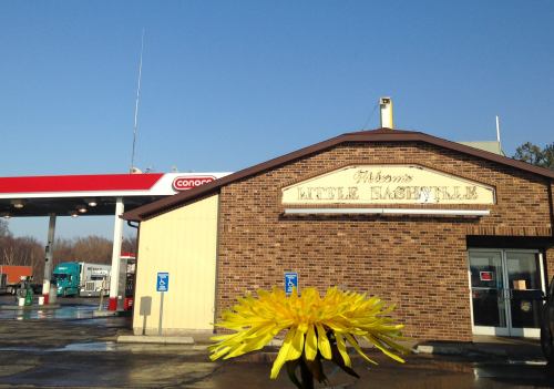 A flower in the foreground with a gas station and a brick building labeled "Alabama's Little Basyville" in the background.
