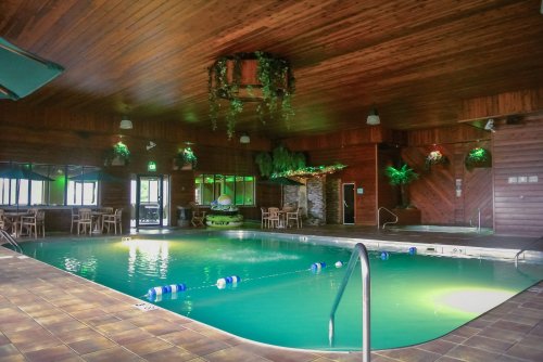 Indoor swimming pool with wooden walls, green lighting, and plants, featuring lounge chairs and a clear water surface.