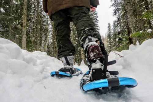 A person snowshoeing through a snowy forest trail, surrounded by tall trees and fresh snow.