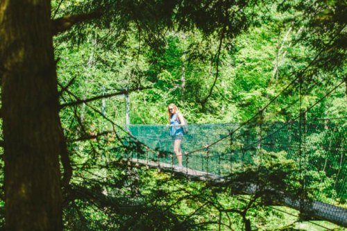 A person walks on a suspension bridge surrounded by lush green trees in a forest.