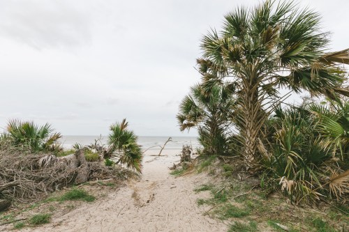 A sandy path leads to a beach, framed by palm trees and coastal vegetation under a cloudy sky.