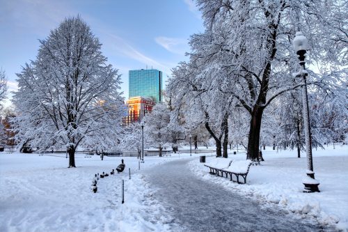 A snowy park scene with frosted trees, a winding path, and a modern building reflecting sunlight in the background.
