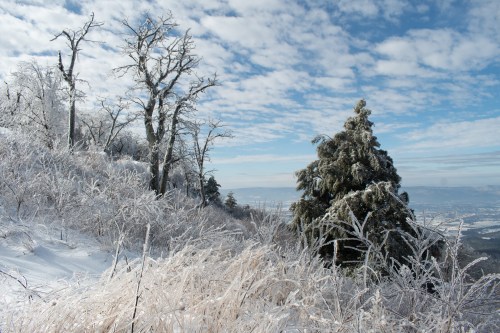 A snowy landscape with frosted trees and a blue sky, showcasing a serene winter scene.