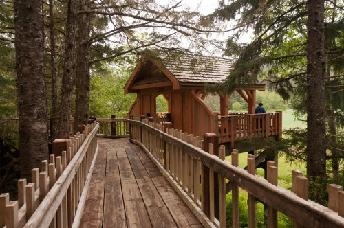 A wooden walkway leads to a gazebo surrounded by trees in a serene forest setting.