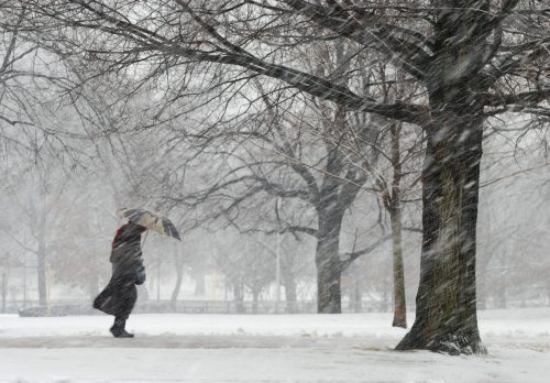 A person walks with an umbrella in a snowy park, surrounded by bare trees and heavy snowfall.