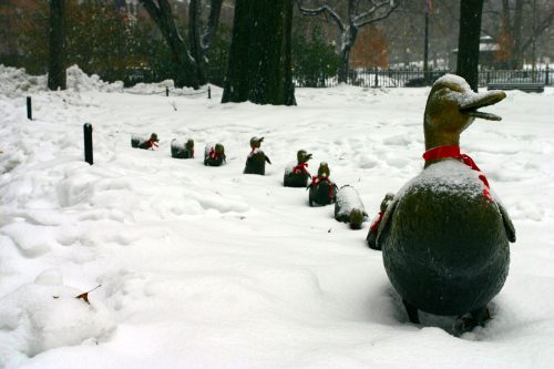 A line of snow-covered duck sculptures wearing red scarves in a snowy park setting.