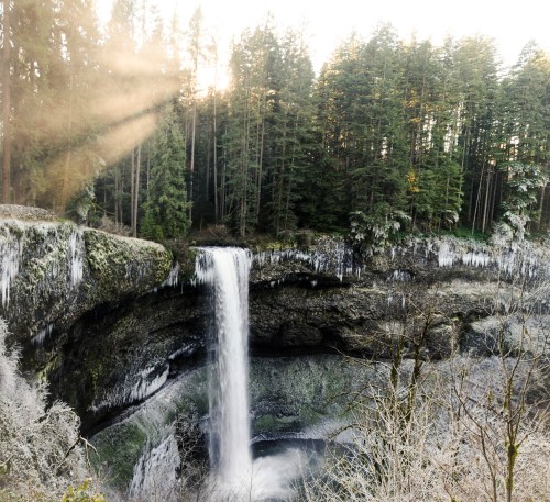 A waterfall cascades over a rocky cliff, surrounded by lush green trees and illuminated by soft sunlight.