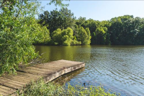 A serene lake scene with a wooden dock, surrounded by lush green trees and calm water under a clear blue sky.