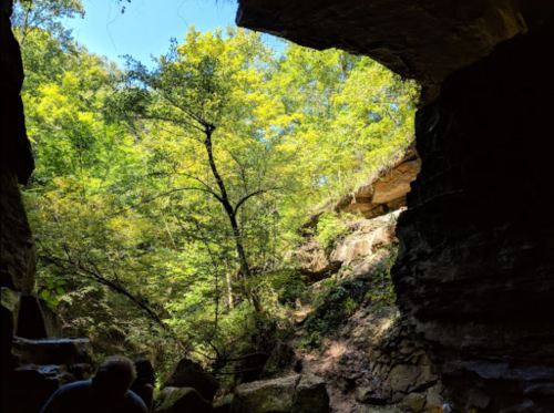 A view from inside a cave, showcasing lush greenery and trees under a bright blue sky.