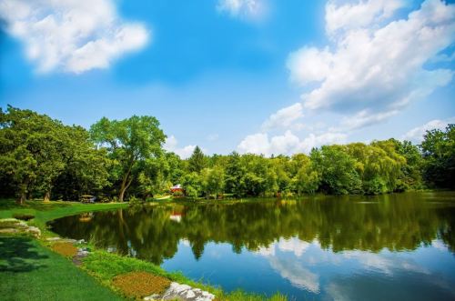 A serene pond surrounded by lush greenery and trees, reflecting a bright blue sky with fluffy clouds.