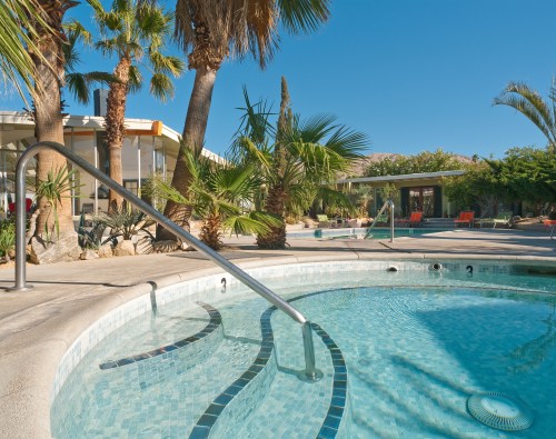 A sunny pool area with a hot tub surrounded by palm trees and vibrant greenery.