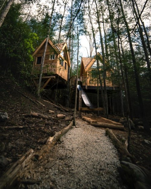 Two wooden treehouses nestled among tall trees, connected by a slide, with a gravel path leading up to them.