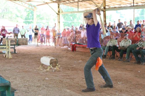 A competitor prepares to chop a log with an axe at a lumberjack competition, with an audience watching in the background.