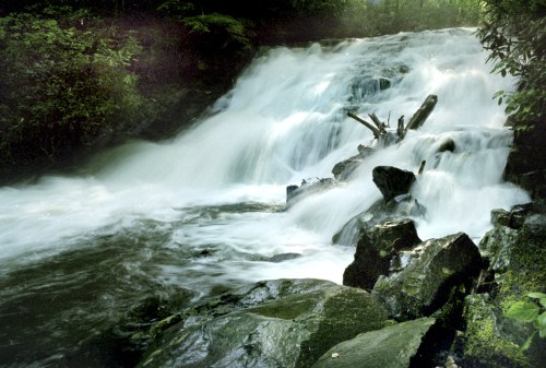 A cascading waterfall flows over rocks, surrounded by lush greenery in a serene natural setting.