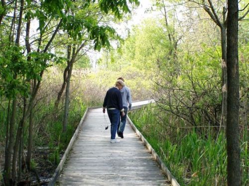 Two people walking on a wooden boardwalk surrounded by lush greenery and trees.