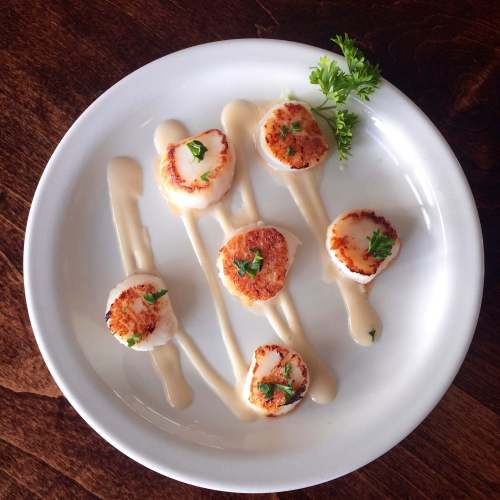 A plate of seared scallops drizzled with sauce and garnished with parsley, arranged artfully on a white dish.