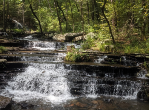 A serene waterfall cascades over rocky steps, surrounded by lush green trees in a peaceful forest setting.