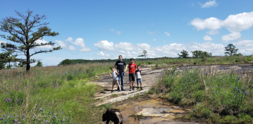 Three children stand on rocky terrain with a dog, surrounded by grass and trees under a clear blue sky.