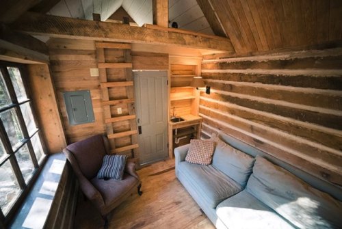Cozy cabin interior featuring a blue sofa, wooden walls, a ladder, and a door, with natural light from a window.