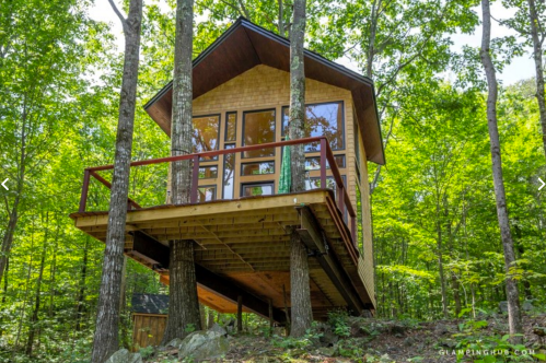 A modern treehouse nestled among trees, featuring large windows and a wooden deck.