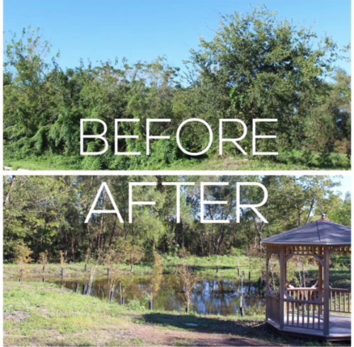 A side-by-side comparison of a dense, overgrown area labeled "Before" and a cleared space with a gazebo and pond labeled "After."