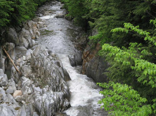 A winding river flows through rocky terrain, surrounded by lush green trees and foliage.