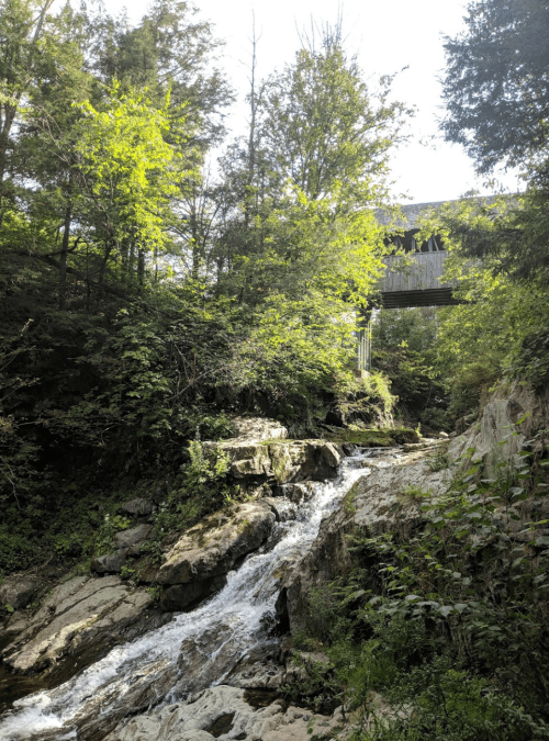A serene stream flows over rocks, surrounded by lush greenery and a wooden bridge in the background.