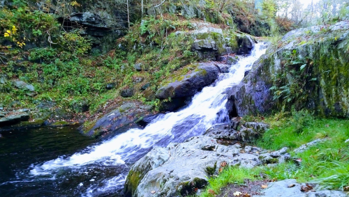 A serene waterfall cascades over rocky terrain, surrounded by lush greenery and autumn foliage.
