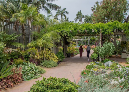 Two people walk through a lush garden path surrounded by vibrant plants and palm trees.