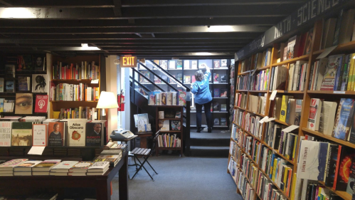 A cozy bookstore interior with bookshelves, a lamp, and a person browsing books on a staircase.