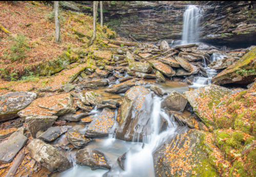 A serene waterfall cascades over rocky terrain, surrounded by autumn leaves and lush greenery.