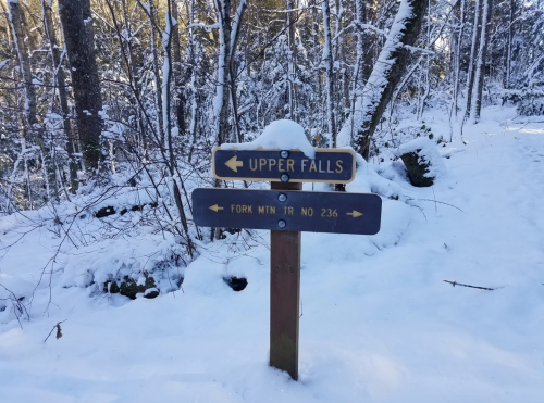 Wooden signpost in a snowy forest, pointing to "Upper Falls" and "Fork Mtn Tr No 236" with snow on top.